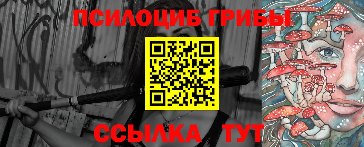 Галлюциногенные грибы Cubensis Клин